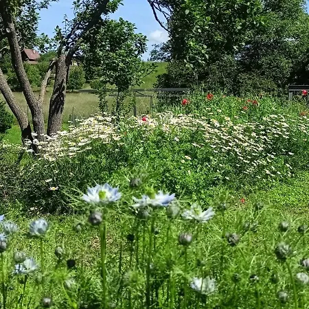 U Babicky * Dobříkov